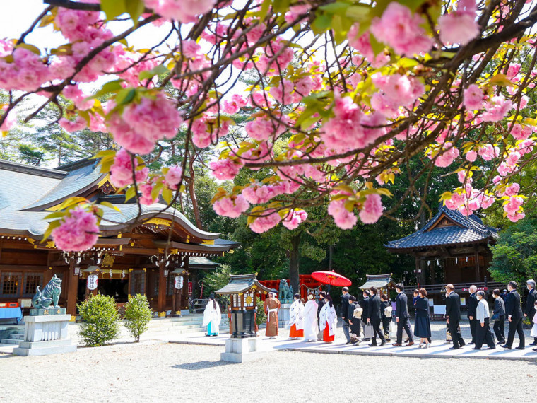 神社の境内を使ったお写真撮影や演出も可能