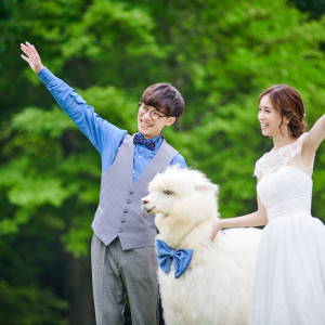 もふもふのアルパカが結婚式をお手伝い。緑の木々の間から一緒に登場したら…思わず歓声があがること、間違いなし|ensoleille（アンソレイユ）の写真(54763090)