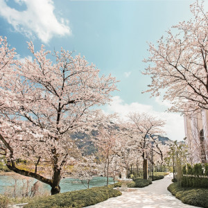 自然光が降り注ぐチャペル|Sakura Table by the River（サクラテーブル）の写真(10816048)