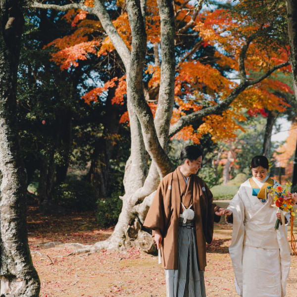 暑くもなく寒くもない季節。過ごしやす時期の撮影はおすすめです。