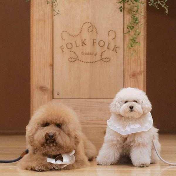 一緒に誓いをたてませんか？