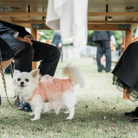 FOLK FOLK Wedding（フォークフォークウエディング）