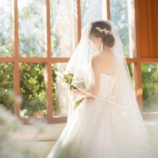 残2席【開催日限定】常陸牛贅沢試食×130万円優待よくばりフェア