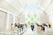 ラピスコライユ ●BRASSグループ