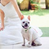 ペットとの来館も歓迎♪結婚式当日も一緒に参加いただけます(無料)