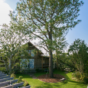 自然豊かな森に囲まれたガーデンに建つ総木造建築の一軒家邸宅＜THE・BARN＞。大きなシンボルツリーが茂り爽やかさ満点なBARN&FORESTのシンボル＊|BARN&FOREST148〜バーン&フォレスト148〜の写真(11243173)