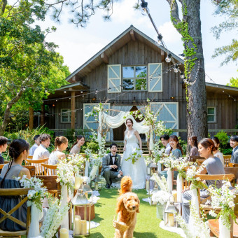 広いガーデンがあるからこそ、わんちゃんものびのびと過ごせます♪