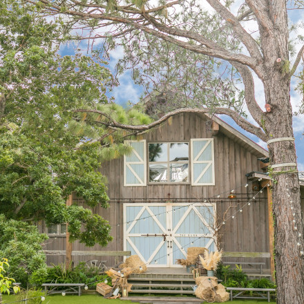 BARN&FOREST