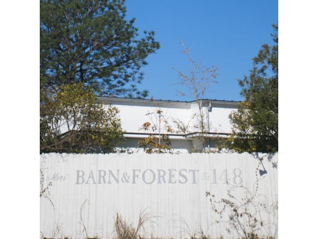 海外映画ような世界観のWをクリエイティブチームがプロデュース