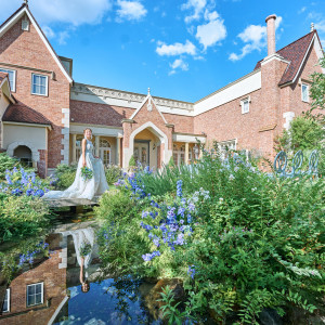 季節の花が鮮やかに彩るガーデン|ネオス・ミラベルの写真(53505936)