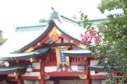 ラ・ロシェル山王