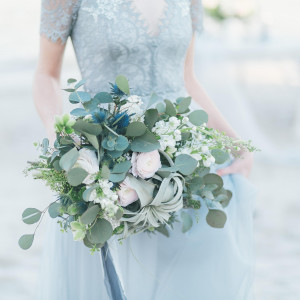 アマンダンカルムの写真(55705738)