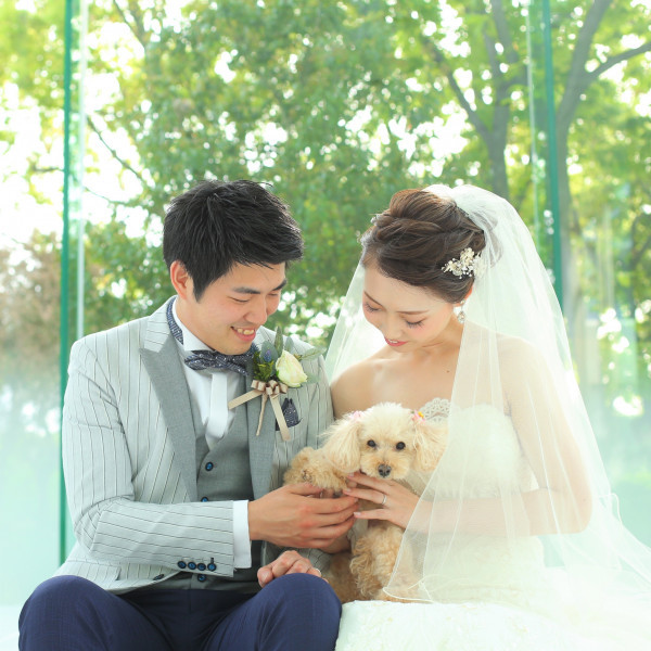 大阪のペットと一緒の結婚式ができる結婚式場 口コミ人気の選 ウエディングパーク