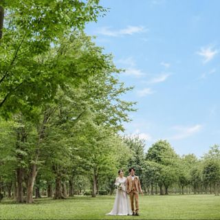 【特別fair】豪華150万特典×贅沢4万試食×Amazonギフト4万