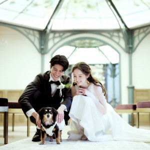 愛犬、愛猫とのペットウエディングをお考えのカップルにもおすすめ|アニバーサリーアン 恵比寿の写真(52199829)
