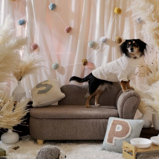 【ペットと一緒に結婚式】ワンちゃん用フルコースをプレゼント