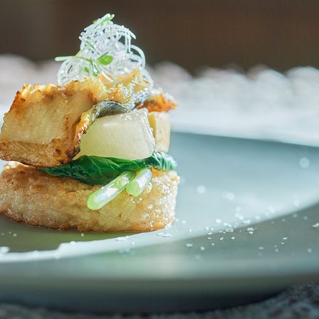 鹿児島の食材に特化し、地元の素晴らしさに喜びが満ちるおもてなし|THE GRAND HOUSE（グランドハウス）の写真(35650792)
