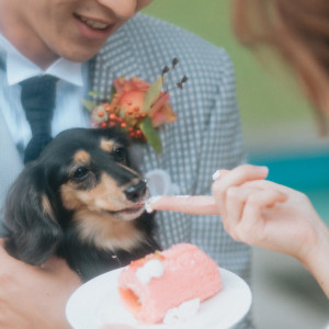 わんちゃんと一緒に結婚式【ご褒美バイト】|つま恋リゾート 彩の郷の写真(26610933)