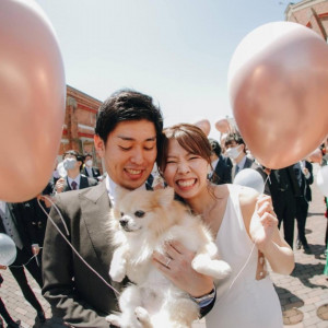 【12/13*クチコミ話題の豪華試食】アカレンガの魅力まるわかりフェア