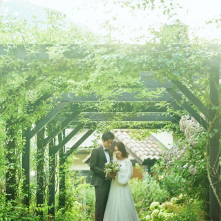 【フォト婚】四季折々の美しい景色を楽しむフォト婚フェア