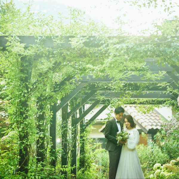 【1年間有効の後撮りプレゼント！】夏のシーズンや紅葉の秋、神秘的な冬のフォト、好きなシーズンで撮影！