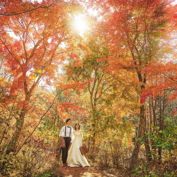 軽井沢がオレンジ色に染まる紅葉の時期は隠れた人気シーズン。