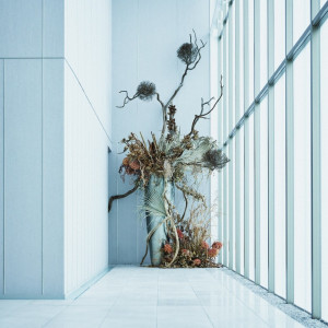 洗練空間で美しい1枚を|岐阜モノリスの写真(54515949)