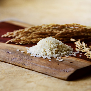 その年の、季節、場所で最良の食材を追求する|岡山モノリスの写真(54505461)