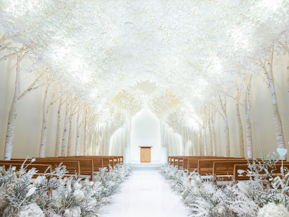 光溢れる白樺チャペル
都心×緑の一軒家貸切邸宅で
憧れウエディング