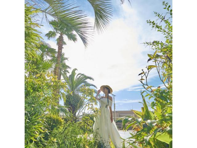 今だけ♪ドレスやお料理ランクUPなど、嬉しい特典も！