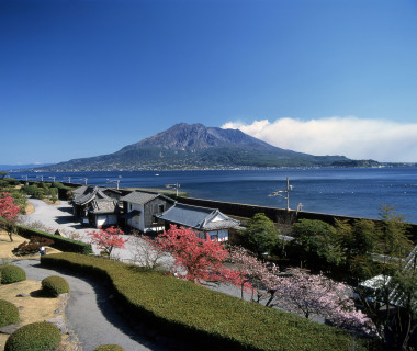 目の前に広がる桜島と錦江湾
