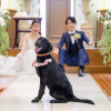 少人数専門のゲストハウス フェイン【faein】