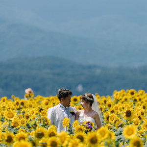 夏限定のひまわりPHOTOも可能です|ル・ピオニエ（オズブライダル）の写真(45322375)