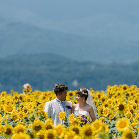 夏限定のひまわりPHOTOも可能です