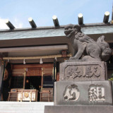 華やかに舞うその様子は、和装のたたずまいにぴったりの、日本の「和」を体現しています。