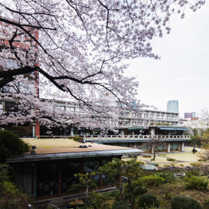 四季を感じられる庭園。春には見事な桜が咲きほこる。|国際文化会館（International House of Japan）の写真(23632021)