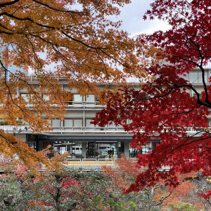 12月には鮮やかな紅葉が。七代目小川治兵衛作の名勝庭園は季節ごとに顔つきを変えながら1年中楽しめる。|国際文化会館（International House of Japan）の写真(23632053)