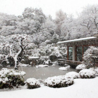 国際文化会館（International House of Japan）
