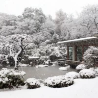 国際文化会館（International House of Japan）