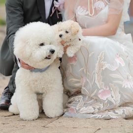 【フォトWD相談会】愛犬と一緒のフォト撮影もOK♪