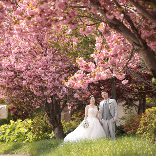 今この瞬間も写真でしっかり残したい方へ。