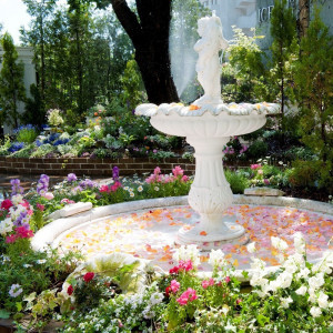 季節の花々と、天使の噴水がある英国風ガーデンで、まるで映画のような光と緑に包まれたアフターセレモニーを。|GLLARE MARUYAMA（グラーレ マルヤマ）の写真(2815913)