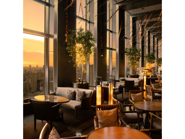 TOKYO FUSION DINING