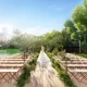ＴＨＥ ＳＯＲＡＫＵＥＮ （相楽園）