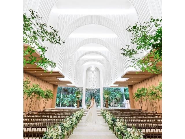 今だけのスペシャル特典☆彡