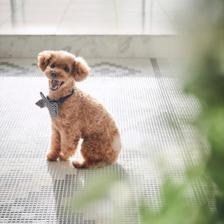 ◆ペットと一緒に◆自由度◎海辺の貸切邸宅×ギフト1万×相談会