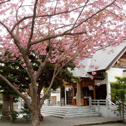 西野神社