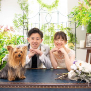 Dream-Wall 小山（ドリームウォール）