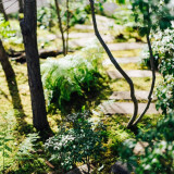 季節ごとに変わるIWAIの森。春には花を咲かせます。