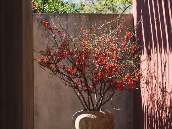 IWAI OMOTESANDO(イワイ オモテサンドウ)